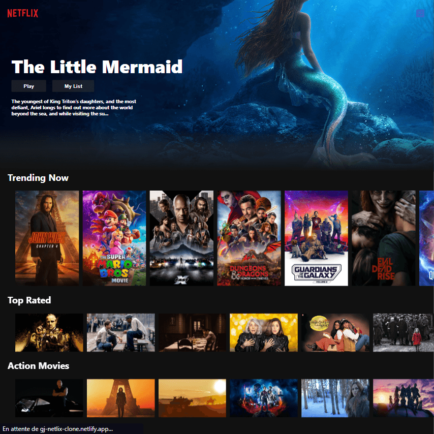 Netflix project
